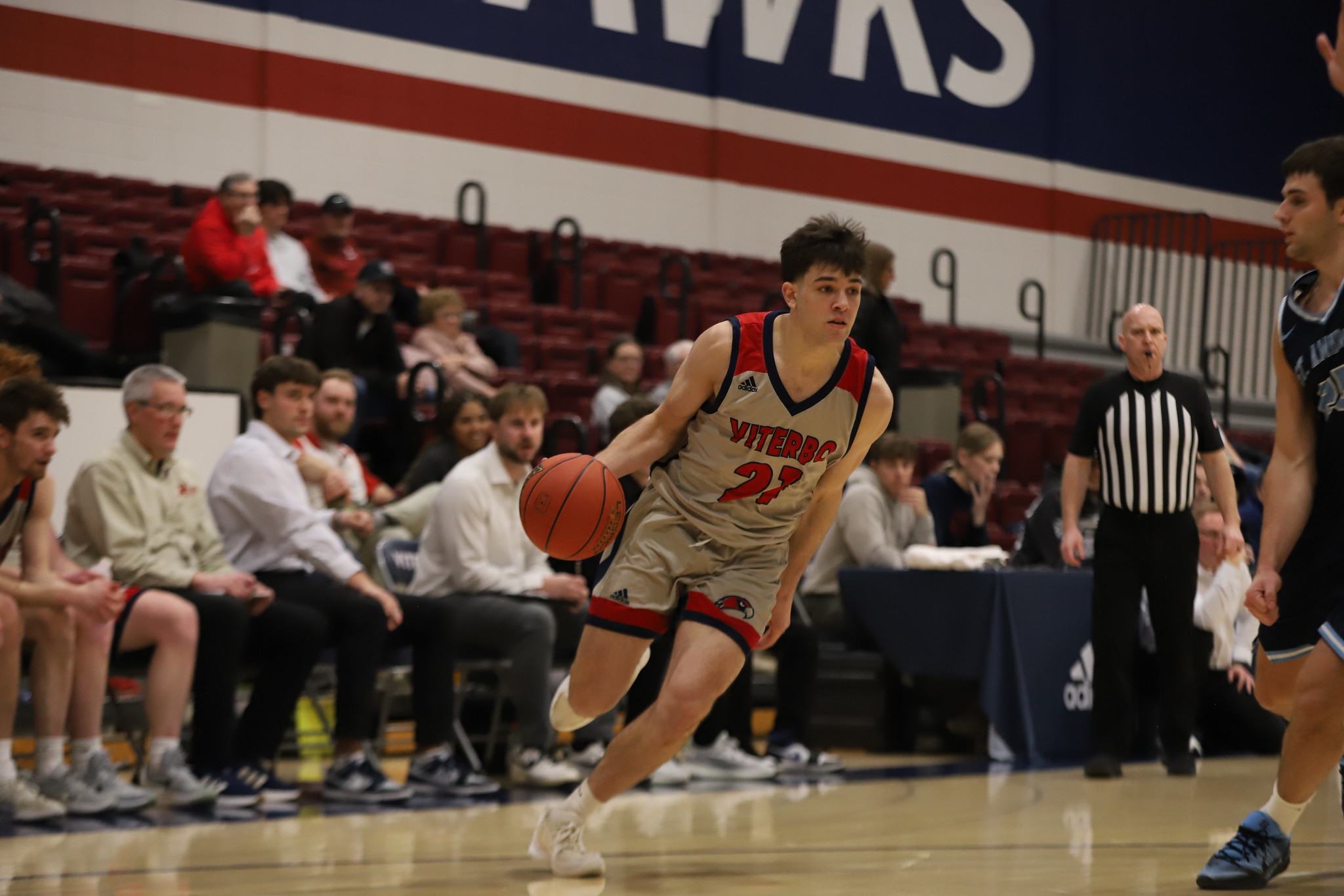 V-Hawks fall short against St. Ambrose