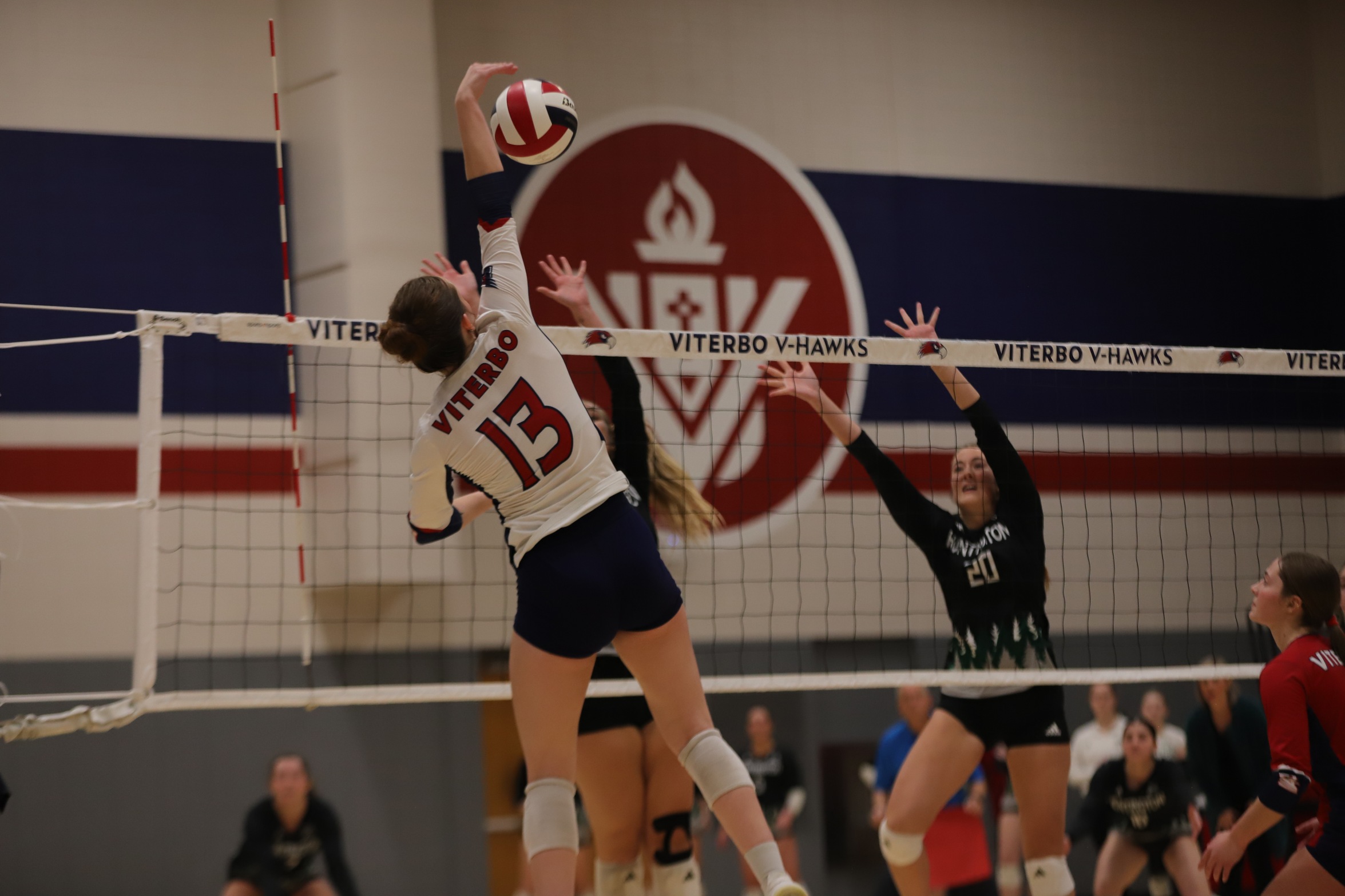 V-Hawks Season Comes to a Close in NAIA Opening Round